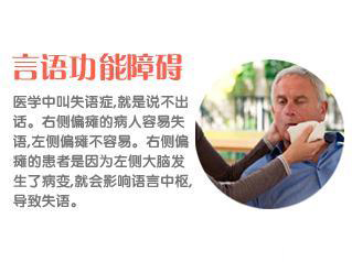 言语功能障碍等其它症状概述